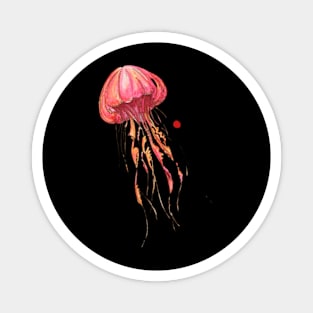 Jellyfish Magnet